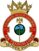 172 (Haywards Heath) Air Cadets Squadron badge 172 (Haywards Heath) Air Cadets Squadron badge