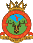 186 (Newent) Air Cadets Squadron badge 186 (Newent) Air Cadets Squadron badge