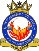 1919 (Newtownabbey) Air Cadets Squadron badge