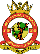 2499 (Wokingham) Air Cadets badge