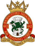 443 (Basingstoke) Air Cadets Squadron badge 443 (Basingstoke) Air Cadets Squadron badge
