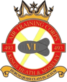 493 (Kings Heath & Moseley) Air Cadets Squadron badge