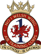 No 1 Welsh Wing Air Cadets Squadron badge