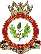 Surrey Wing Air Cadets Squadron badge