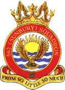 862 (Sunbury) Air Training Corps (ATC)/Air Cadets Squadron badge. Click to go to the 862 (Sunbury) Air Training Corps (ATC)/Air Cadets homepage
