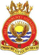 862 (Sunbury) Air Cadets (ATC)/Air Cadets Squadron badge. Click to go to the 862 (Sunbury) Air Cadets (ATC)/Air Cadets homepage